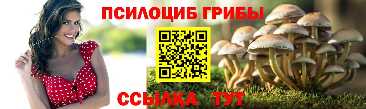 Псилоцибиновые грибы мицелий Южно-Сахалинск
